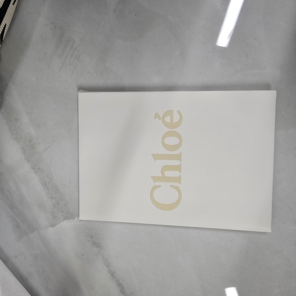 Chloé Small Woody Tote Bag in Beige and Blue - Picture 11 of 14